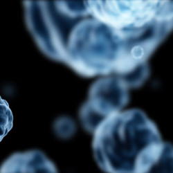 Close-up image of translucent blue cells or microscopic organisms against a dark background.