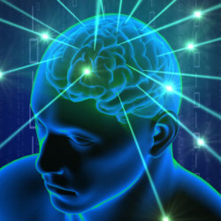 Digital illustration of a human head with glowing neural connections representing brain activity and intelligence.