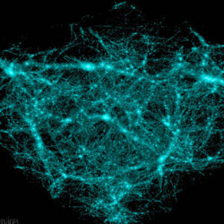 Microscopic view of a network of blue fluorescent neurons or cells interconnected by fine filaments.