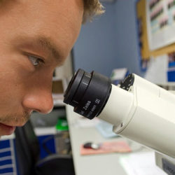 A scientist closely examining a sample through a microscope in a laboratory setting.