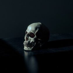 human extinction