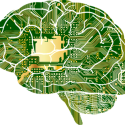 A computer circuit board with a picture of the brain.